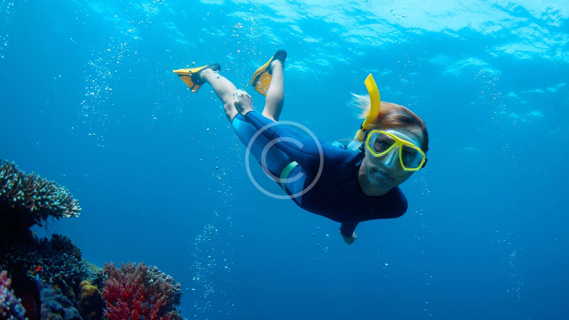 A diver going deep the ocean