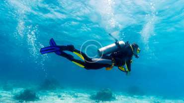 A scuba diver with complete accessories