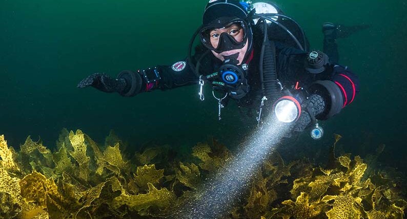 A diver with a huge flashlight