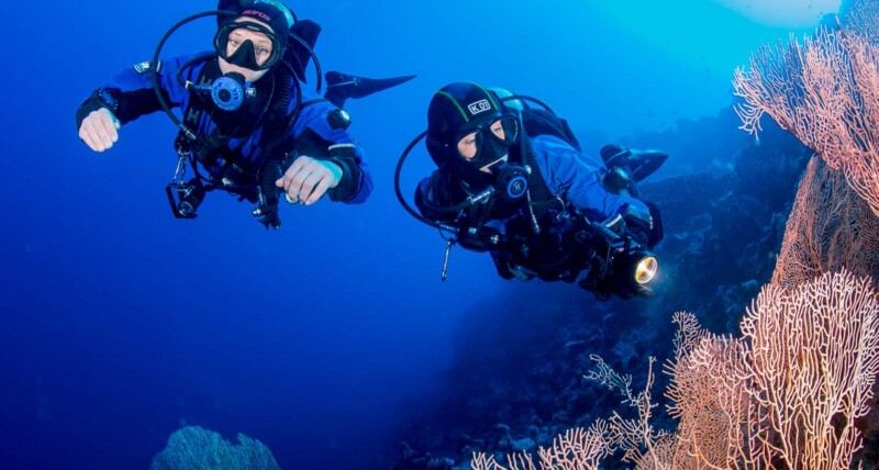 Scuba divers wandering at the sea