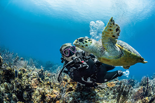 A scuba diver with a turtle